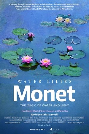Monet Lelijos. Vandens Ir šviesos Magija