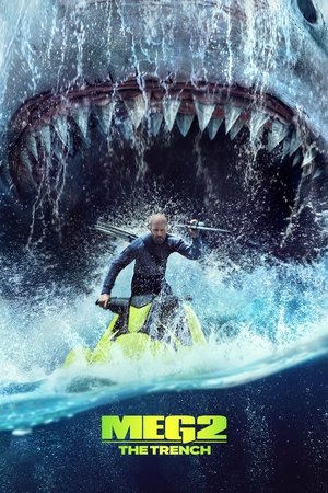 Megalodonas 2. Bedugnė