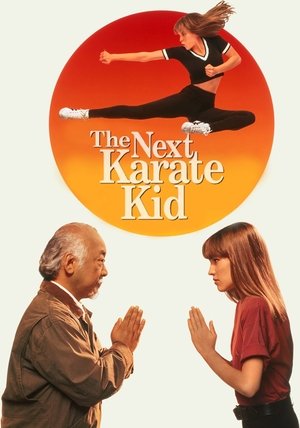 Naujoji Karatė Legenda