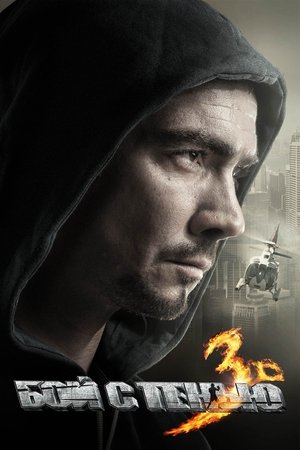 Kova su šešėliu 3. Paskutinis raundas 