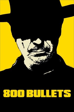 800 kulkų