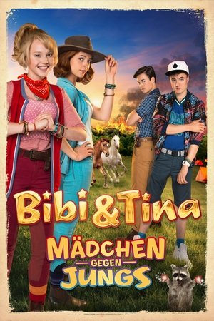 Bebė Ir Tina. Mergaitės Prieš Berniukus