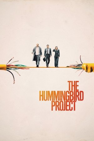 "Kolibrio" Projektas