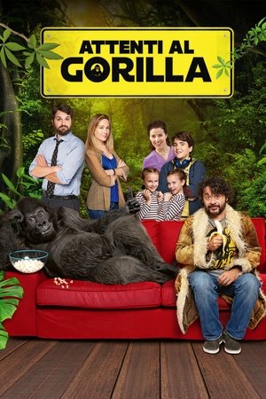 Atsargiai – Gorila!