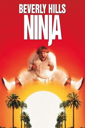Beverli Hilso nindzė 