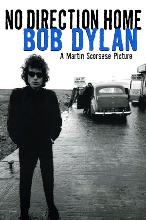 Bobas Dylanas. Nežinomas Kelias Namo