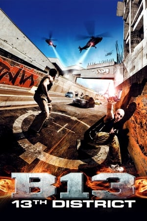 13 rajonas 