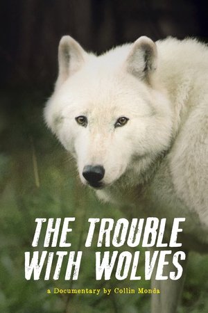 Vilkų Problema